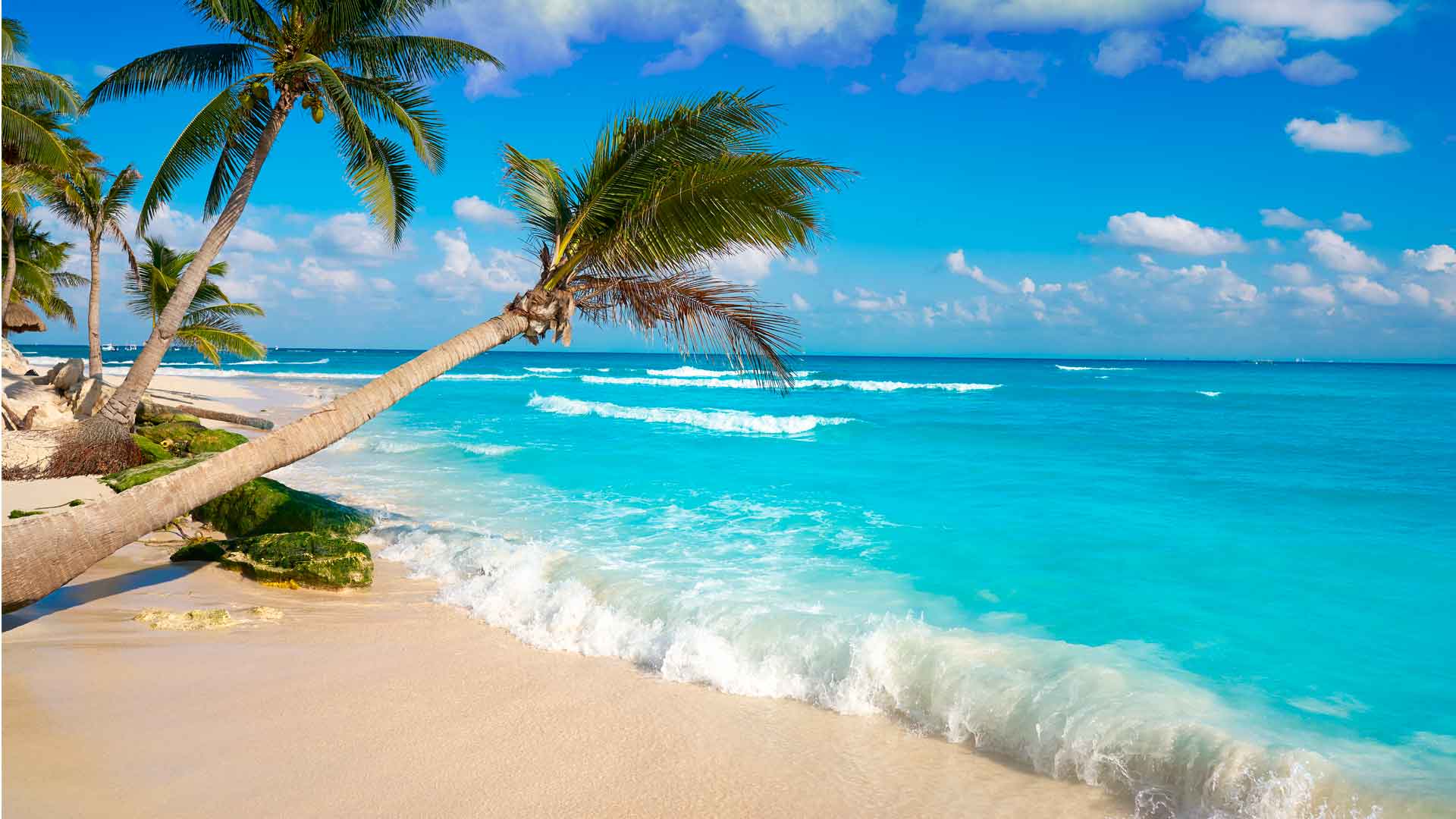 La mejor temporada para ir a la playa Hotel La Joya