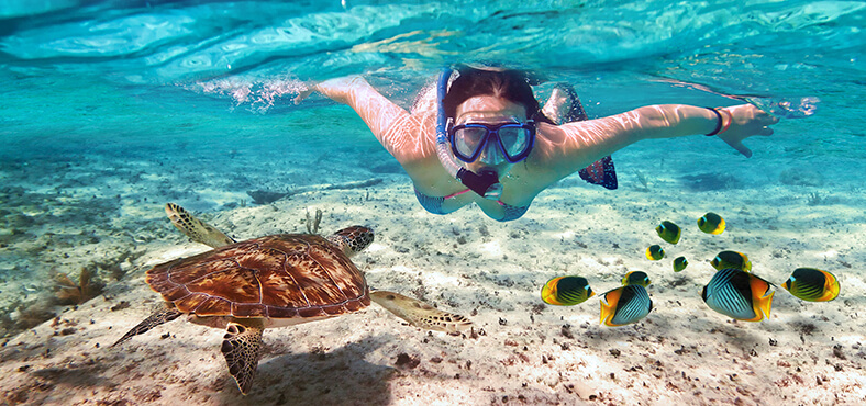 Explore the biodiversity in Isla Mujeres or Cozumel